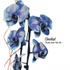 Orchid label
