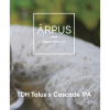 TDH Talus X Cascade IPA by Ārpus Brewing Co.