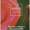 TDH Citra X Mosaic X Peacharine DIPA by Ārpus Brewing Co.