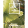 Pineapple Berliner Weisse by Ārpus Brewing Co.