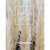 Hefeweizen by Ārpus Brewing Co.