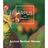 Apricot Berliner Weisse by Ārpus Brewing Co.