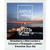 Ārpus X Xul Beer Co Strawberry X Red Currant X Coconut X Pineapple X Lemon Smoothie Sour Ale by Ārpus Brewing Co.