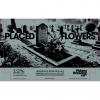 Placed Flowers by Fidens Brewing Co