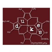 Duke's Alehouse and Kitchen logo